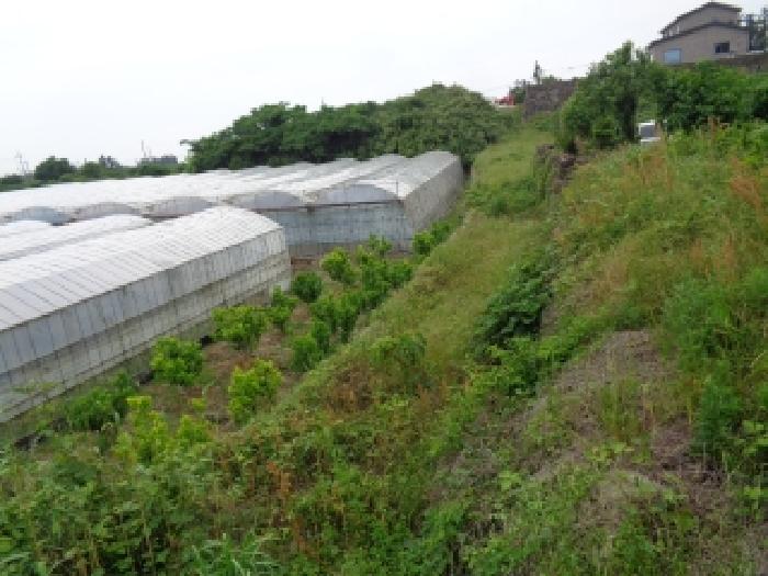 제주 서귀포시 안덕면 과수원 경매 물건 사진 3 · 2025타경8166