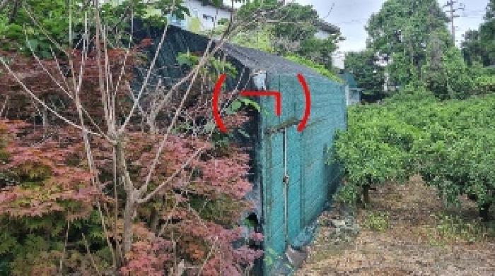제주 서귀포시 동홍동 과수원 경매 물건 사진 5 · 2025타경8177