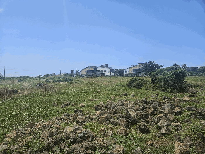 제주 서귀포시 대정읍 전 경매 물건 사진 5 · 2025타경8219
