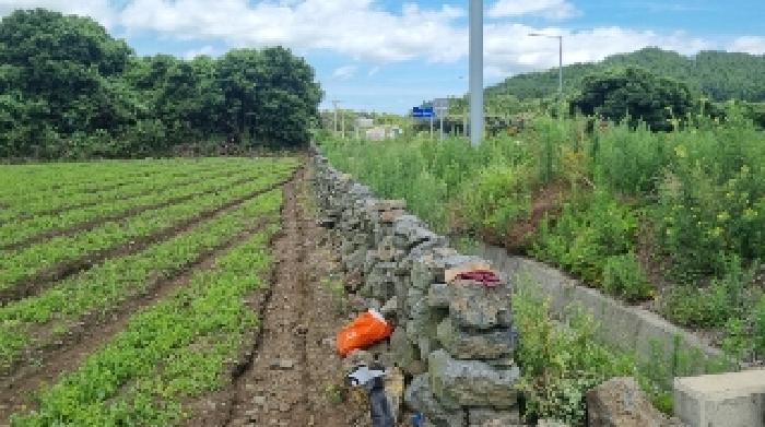 제주 서귀포시 표선면 임야 경매 물건 사진 3 · 2025타경8241