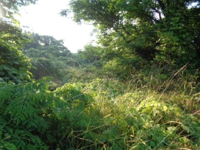 제주 제주시 한림읍 전 경매 물건 사진