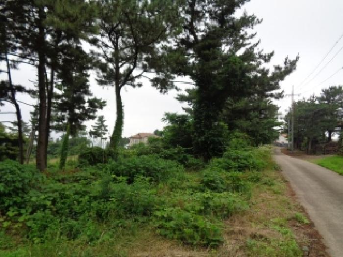 제주 서귀포시 안덕면 전 경매 물건 사진