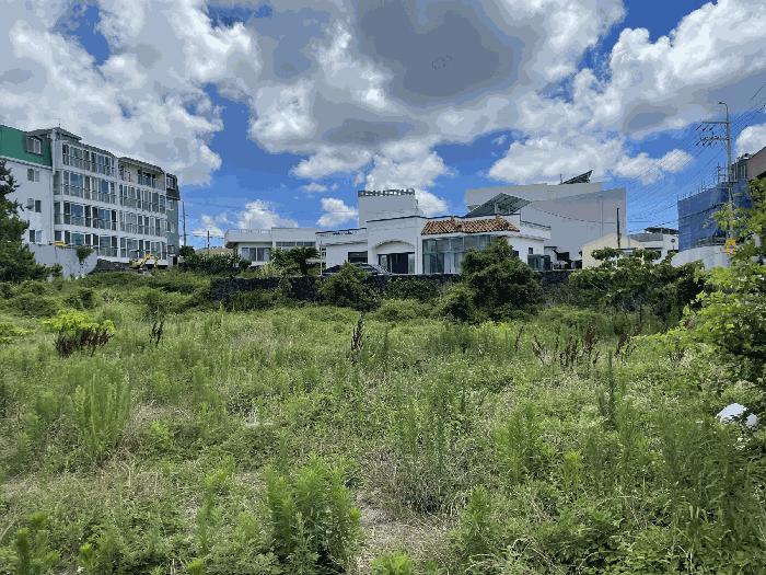 제주 제주시 한림읍 묘지 경매 물건 사진 5 · 2025타경8314
