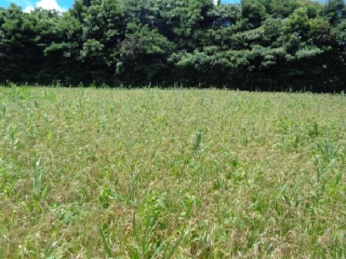 제주 제주시 한경면 전 경매 물건 사진 3 · 2025타경8316