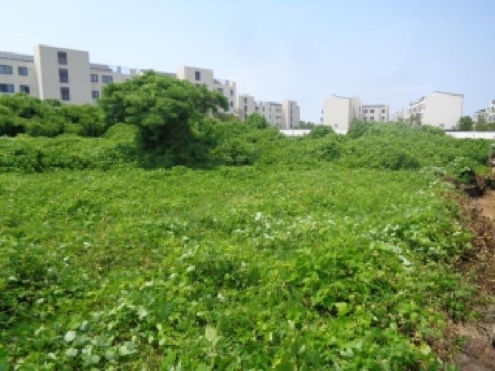 제주 서귀포시 대정읍 임야 경매 물건 사진