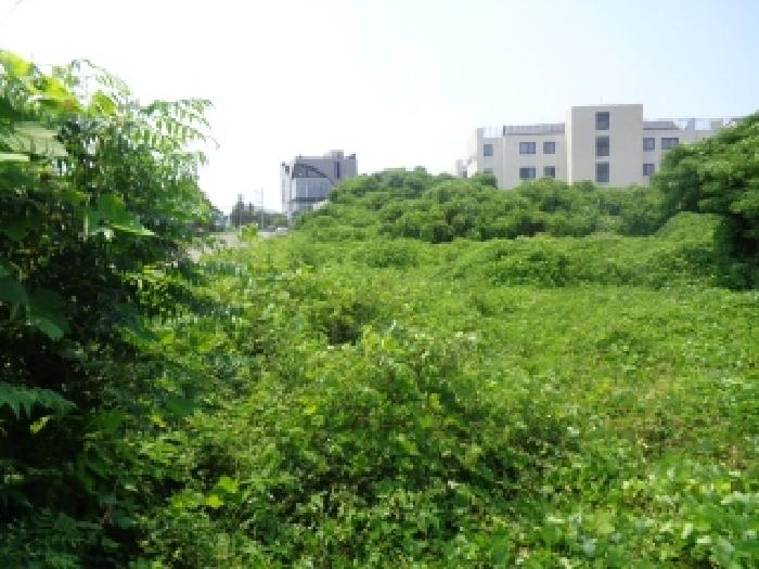 제주 서귀포시 대정읍 임야 경매 물건 사진 2 · 2025타경8377