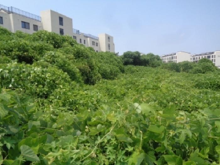 제주 서귀포시 대정읍 임야 경매 물건 사진 4 · 2025타경8377