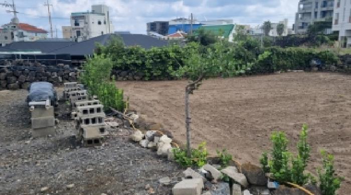 제주 제주시 구좌읍 대지 경매 물건 사진 3 · 2025타경8481