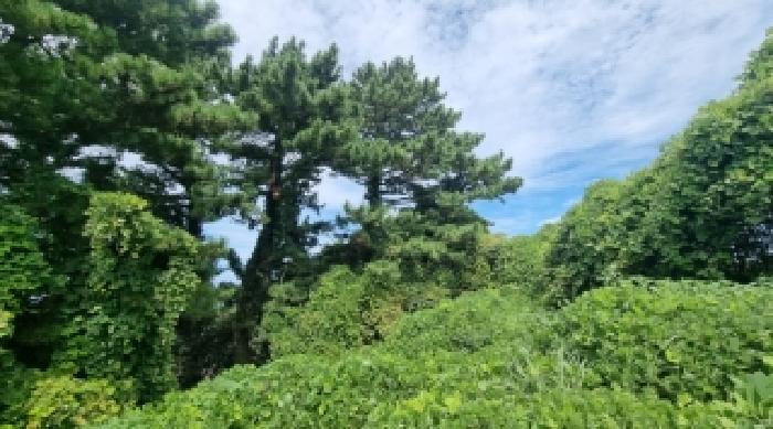 제주 제주시 삼양일동 전 경매 물건 사진 2 · 2025타경8535