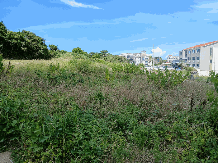 제주 제주시 애월읍 전 경매 물건 사진 5 · 2025타경8606