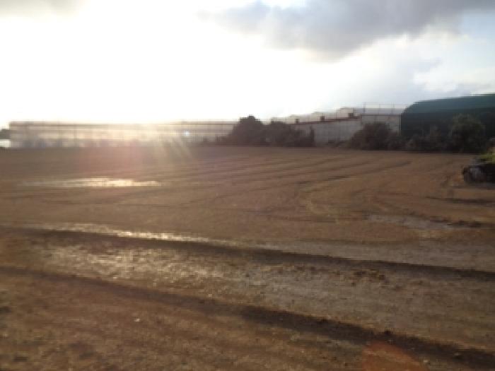 제주 서귀포시 대정읍 전답 경매 물건 사진 2 · 2025타경8628