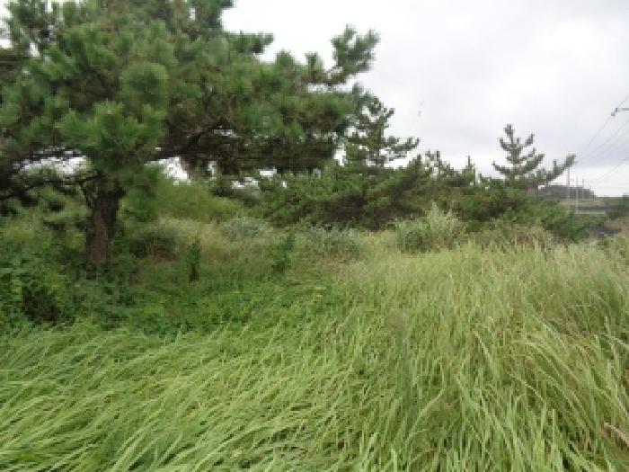 제주 제주시 한경면 전 경매 물건 사진 2 · 2025타경8680