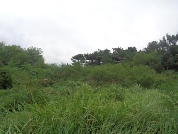 제주 제주시 한경면 전 경매 물건 사진 6 · 2025타경8680