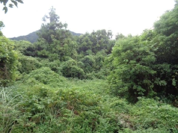 제주 서귀포시 안덕면 전 경매 물건 사진