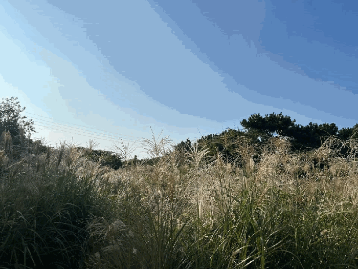 제주 제주시 한경면 임야 경매 물건 사진 5 · 2025타경8805