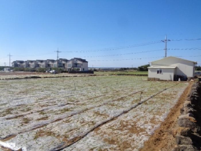 제주 서귀포시 대정읍 상가,오피스텔,근린시설 경매 물건 사진 6 · 2025타경8940