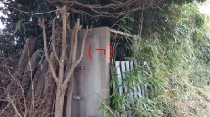 제주 서귀포시 성산읍 대지 경매 물건 사진