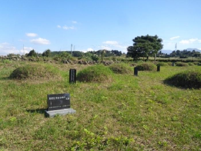 제주 제주시 해안동 임야 경매 물건 사진 2 · 2025타경8967