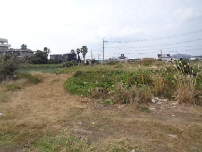 제주 서귀포시 안덕면 공장용지 경매 물건 사진 5 · 2025타경8990