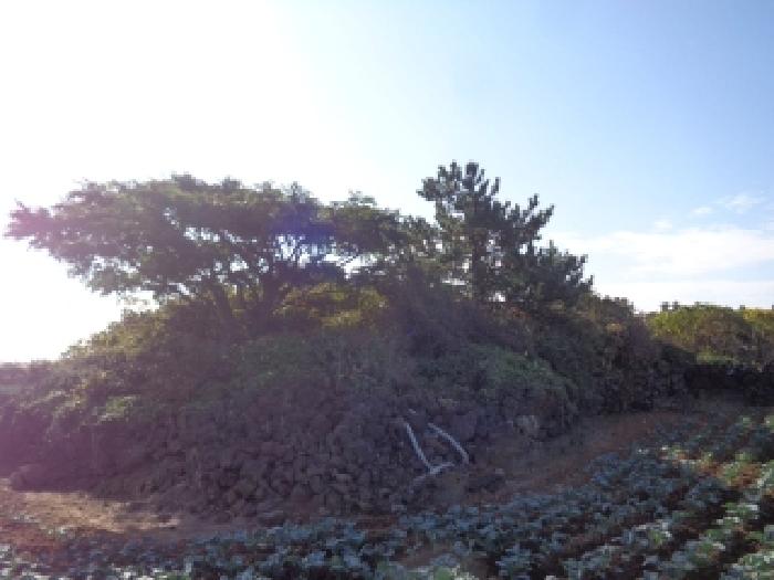 제주 제주시 한경면 전답 경매 물건 사진