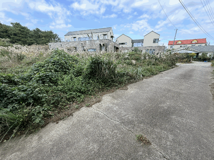 제주 서귀포시 표선면 전답 경매 물건 사진 6 · 2025타경9058