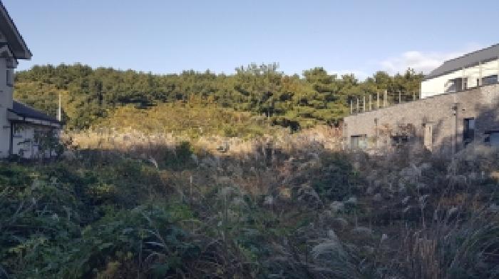 제주 서귀포시 표선면 전답 경매 물건 사진 2 · 2025타경9058