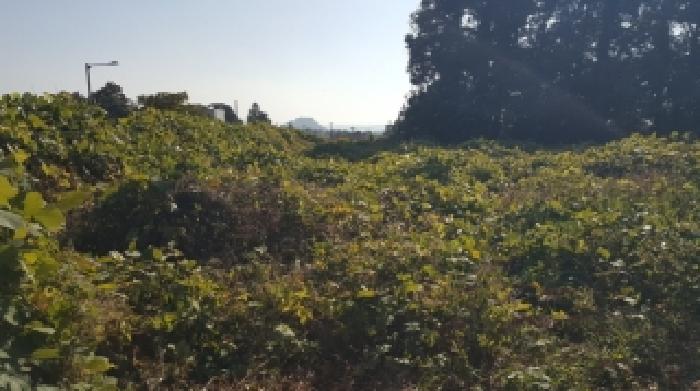제주 서귀포시 토평동 대지,임야,전답 경매 물건 사진