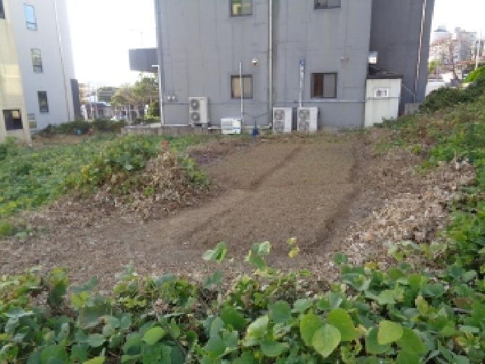 제주 서귀포시 강정동 대지 경매 물건 사진 2 · 2025타경9079