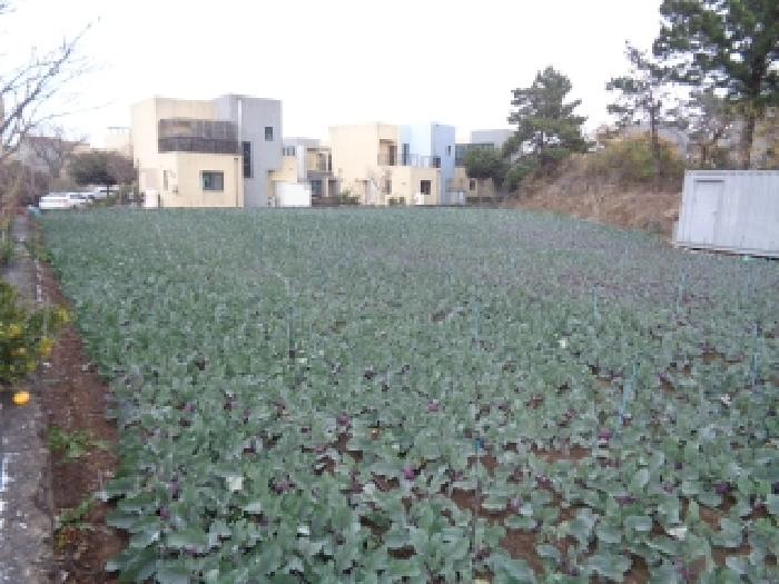 제주 제주시 애월읍 전 경매 물건 사진