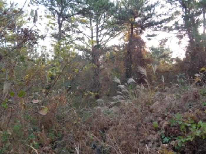 제주 제주시 애월읍 임야 경매 물건 사진 4 · 2025타경9191