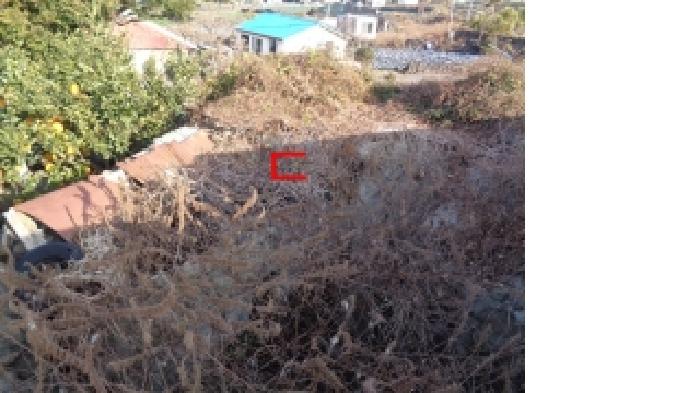제주 제주시 애월읍 대지 경매 물건 사진 5 · 2025타경9345