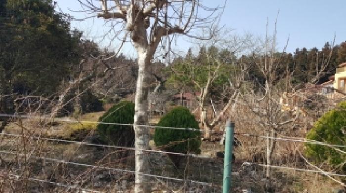 제주 제주시 조천읍 단독주택 경매 물건 사진 6 · 2025타경9361