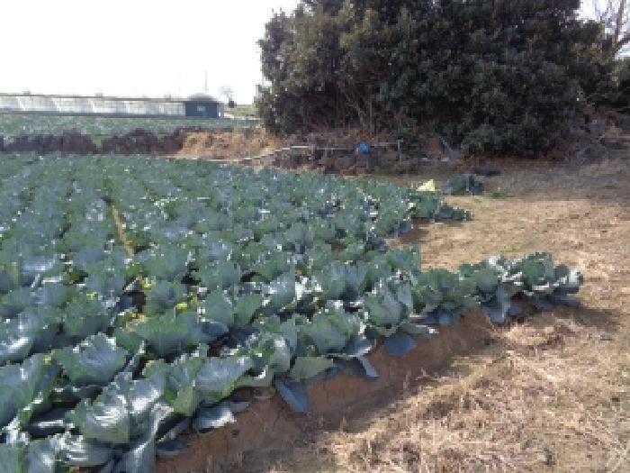 제주 제주시 한경면 전 경매 물건 사진 3 · 2025타경9362
