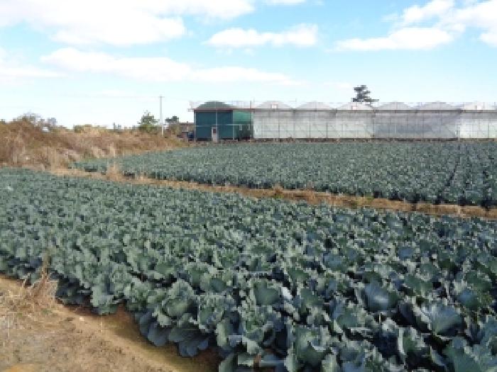 제주 제주시 한경면 전 경매 물건 사진 4 · 2025타경9362