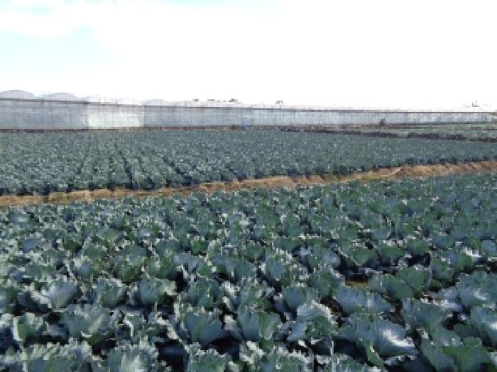 제주 제주시 한경면 전 경매 물건 사진 5 · 2025타경9362