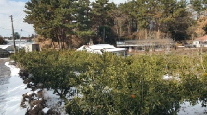 제주 제주시 조천읍 전답 경매 물건 사진 3 · 2025타경9367
