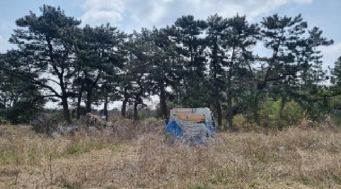 제주 제주시 조천읍 대지,임야,전답 경매 물건 사진 3 · 2025타경959