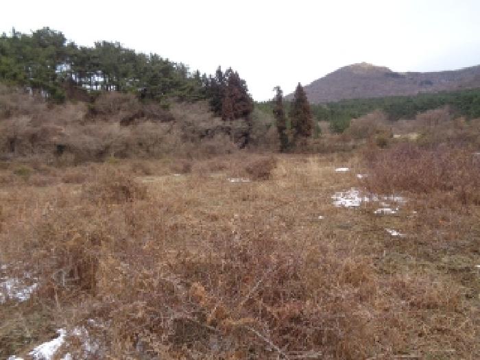 제주 제주시 애월읍 임야 경매 물건 사진 6 · 2026타경10057