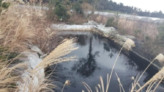제주 서귀포시 표선면 임야 경매 물건 사진
