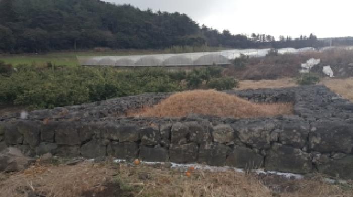 제주 서귀포시 표선면 임야 경매 물건 사진 3 · 2026타경10063