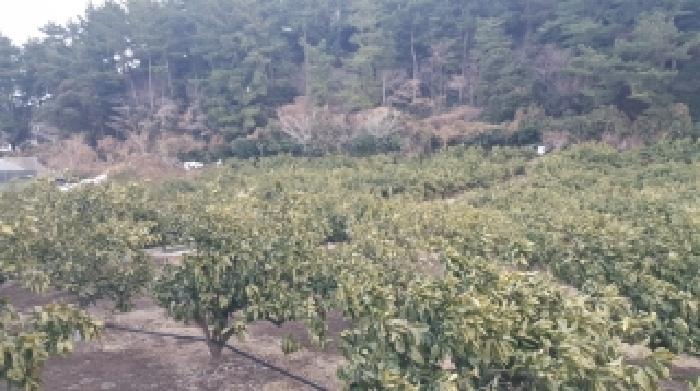 제주 서귀포시 표선면 임야 경매 물건 사진 5 · 2026타경10063