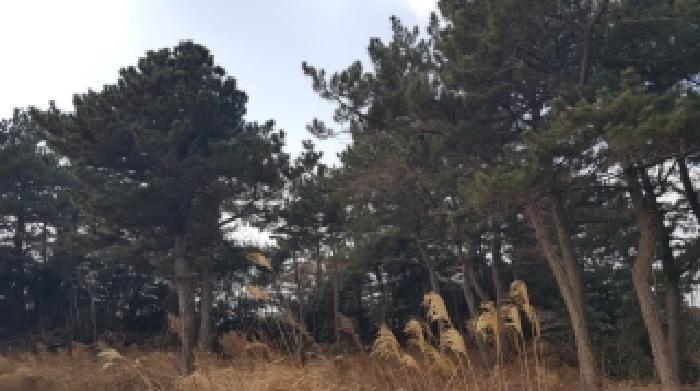 제주 서귀포시 성산읍 임야 경매 물건 사진 3 · 2026타경10095