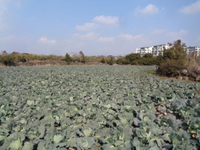 제주 제주시 한경면 전답 경매 물건 사진