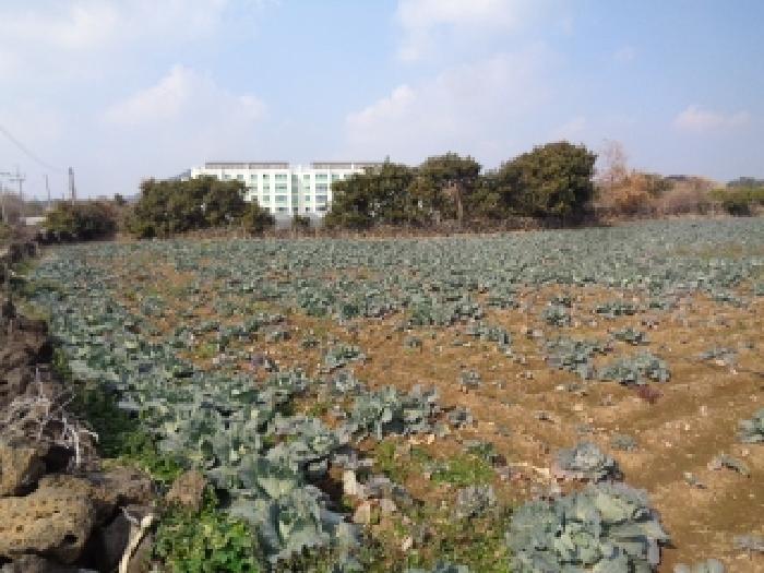 제주 제주시 한경면 전답 경매 물건 사진 4 · 2026타경10115