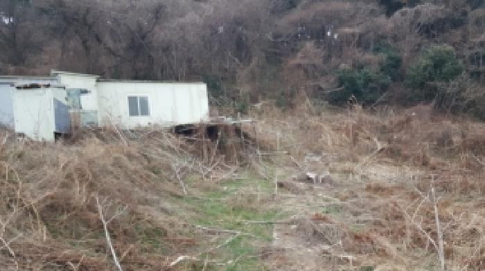 제주 제주시 봉개동 임야 경매 물건 사진 6 · 2026타경10133