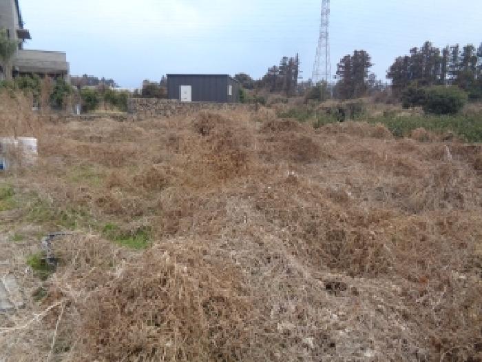 제주 제주시 영평동 전답 경매 물건 사진