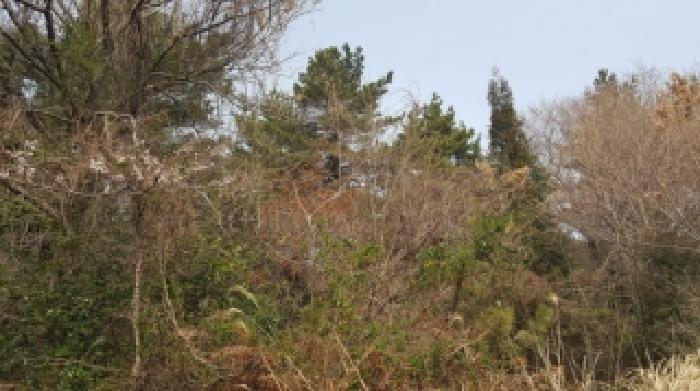 제주 서귀포시 남원읍 임야 경매 물건 사진 2 · 2026타경10186