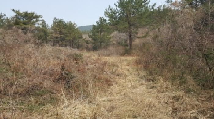 제주 서귀포시 남원읍 임야 경매 물건 사진 4 · 2026타경10186