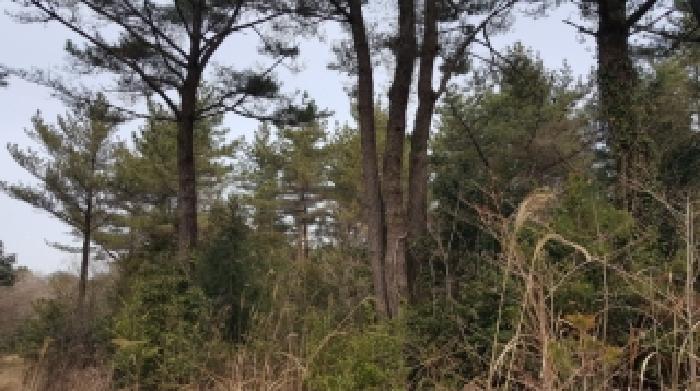 제주 서귀포시 남원읍 임야 경매 물건 사진 5 · 2026타경10186