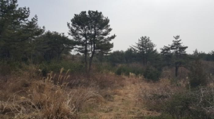 제주 서귀포시 남원읍 임야 경매 물건 사진 6 · 2026타경10186